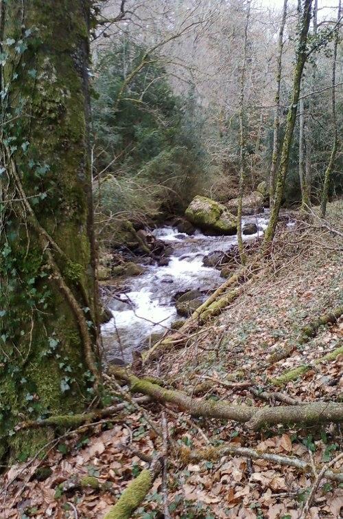 Gite De Charme Auvergne Cab'Ane Brousse Exterior photo